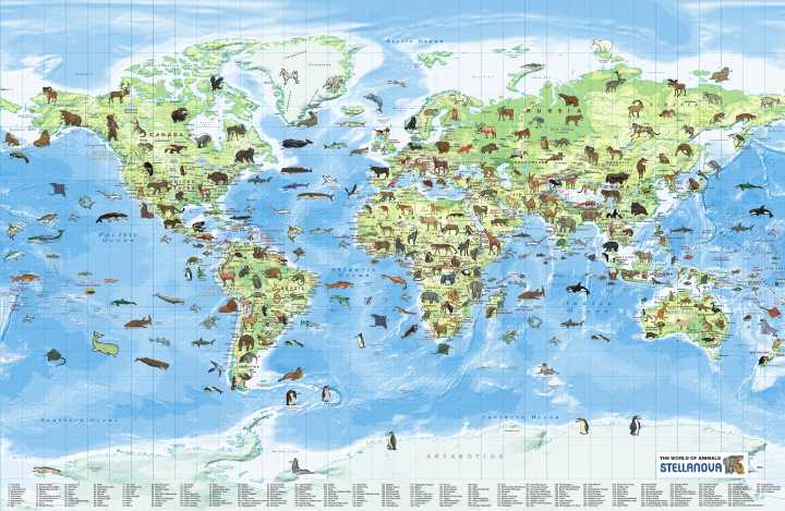 The world of Animals laminated with hanging strips Stellanova ...