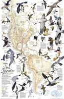 Bird Migration - Western Hemisphere wandkaart geplastificeerd National Geographic 20304 first image